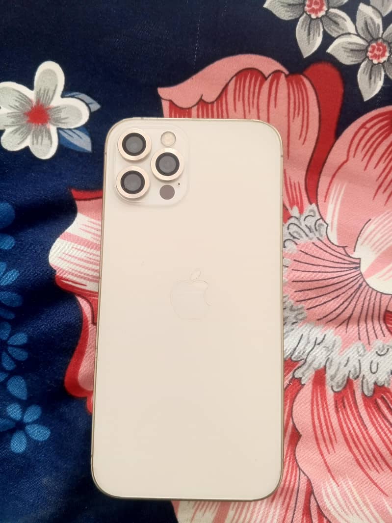Apple iPhone 12 Pro 1