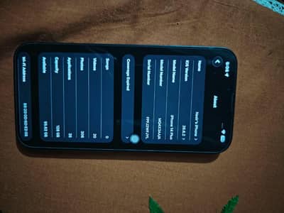Apple iPhone 14 plus