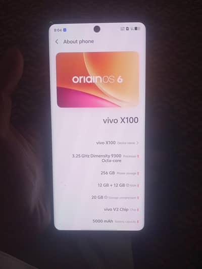 Vivo X100