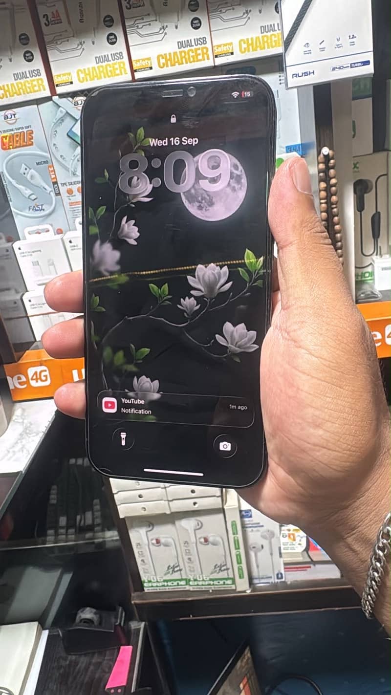 Apple iPhone 12 Pro Max 2