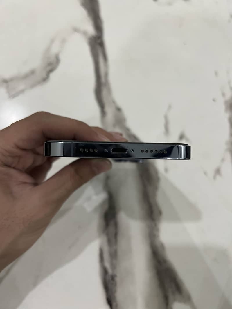 Apple iPhone 13 Pro Max 3