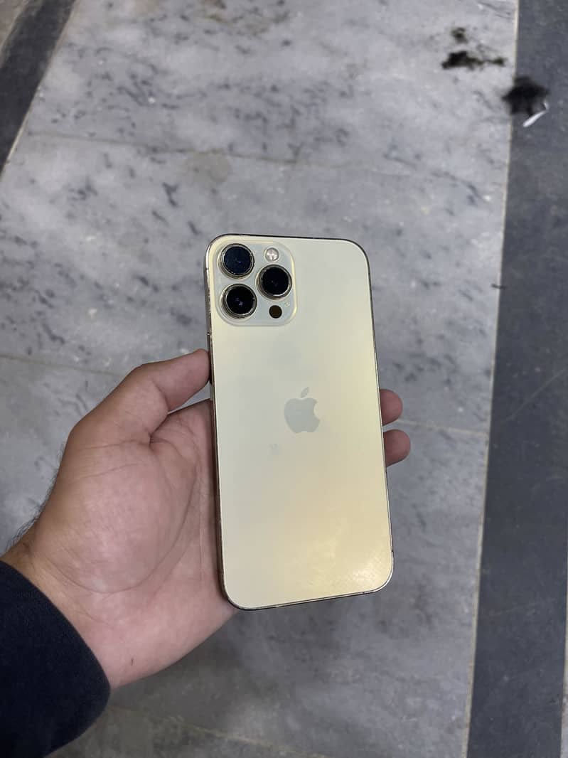 Apple iPhone 13 Pro Max panel dot 0