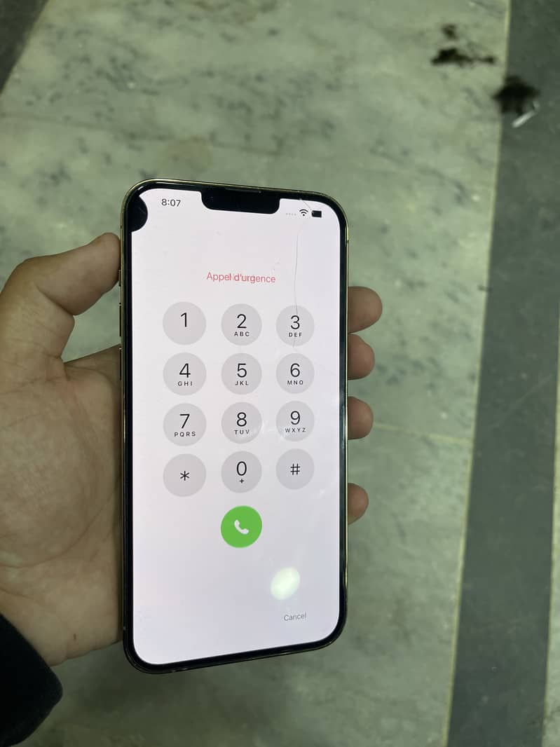Apple iPhone 13 Pro Max panel dot 1