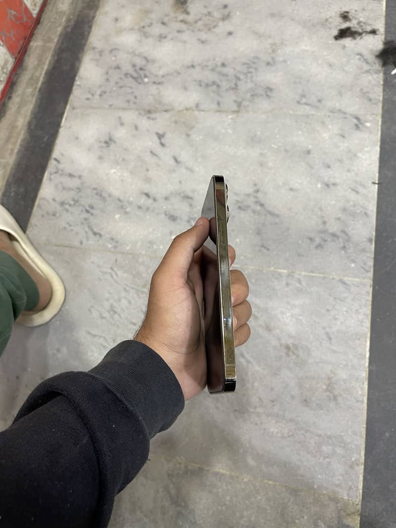 Apple iPhone 13 Pro Max panel dot 2