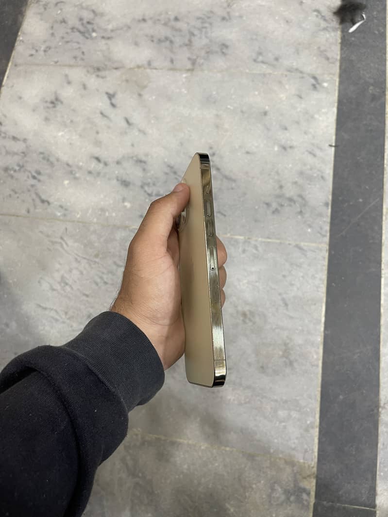 Apple iPhone 13 Pro Max panel dot 3