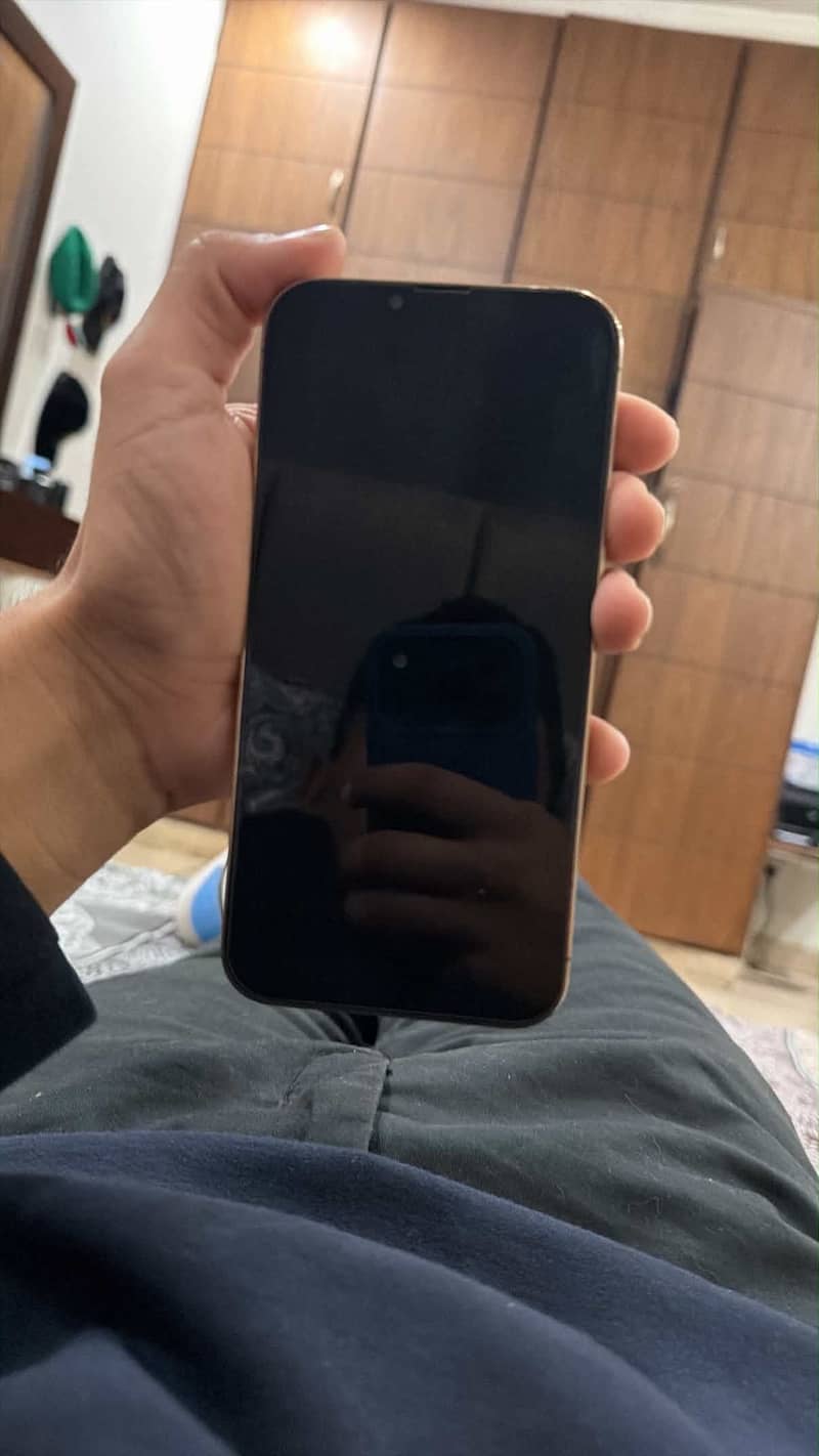 Apple iPhone 13 Pro Max 0