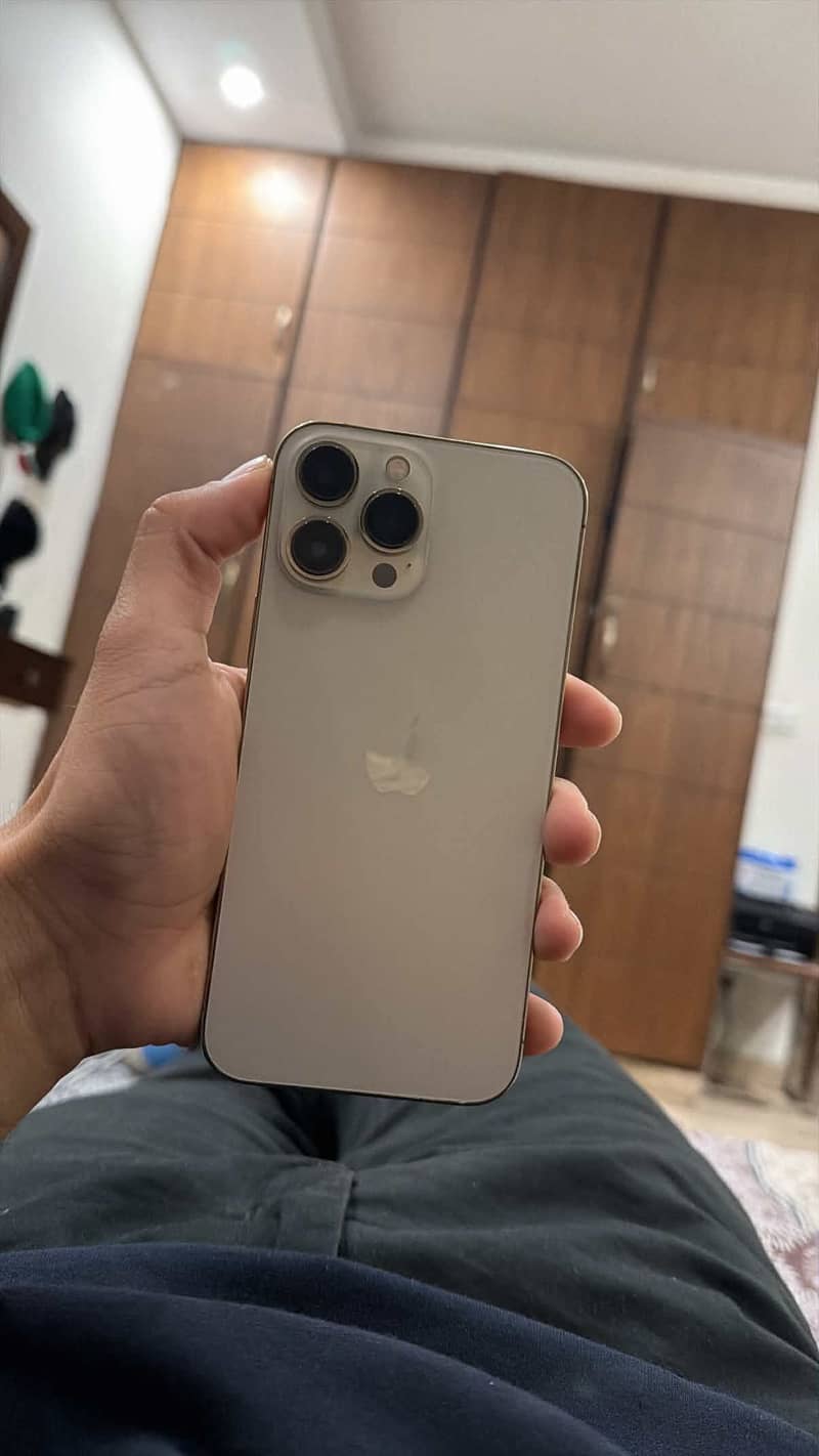 Apple iPhone 13 Pro Max 1