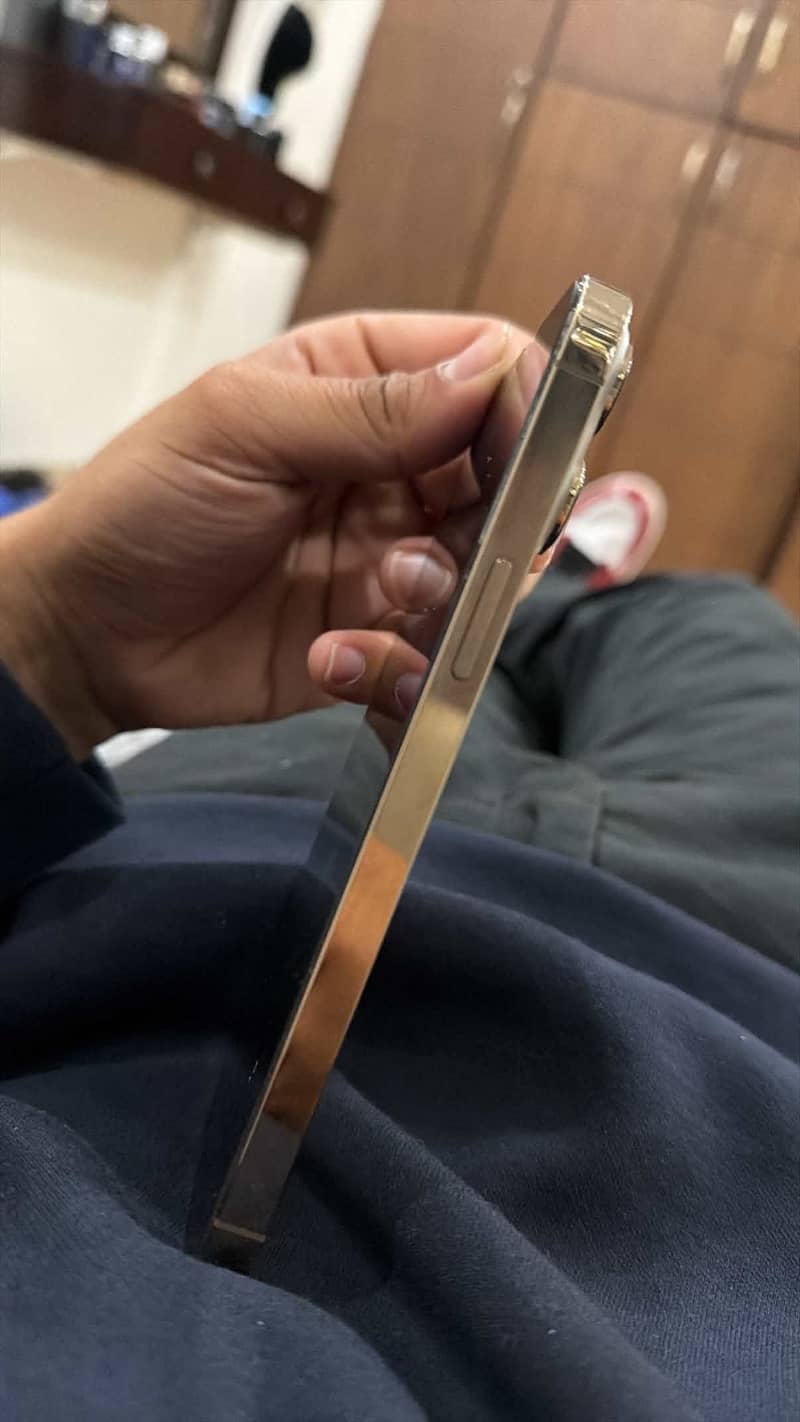 Apple iPhone 13 Pro Max 2