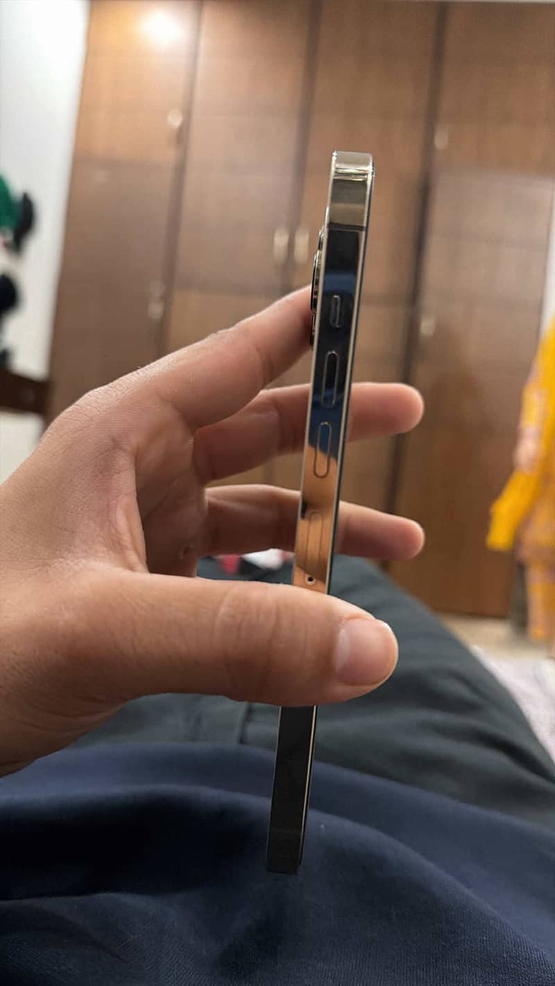 Apple iPhone 13 Pro Max 3