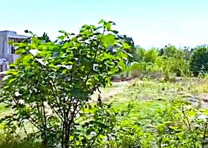 Sector C, Possession Plot 2,500 Sq. Yards
