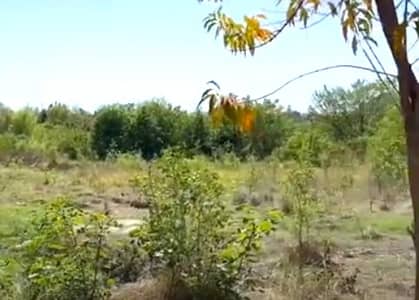 Beautiful Plot In Sector B At An Affordable Price