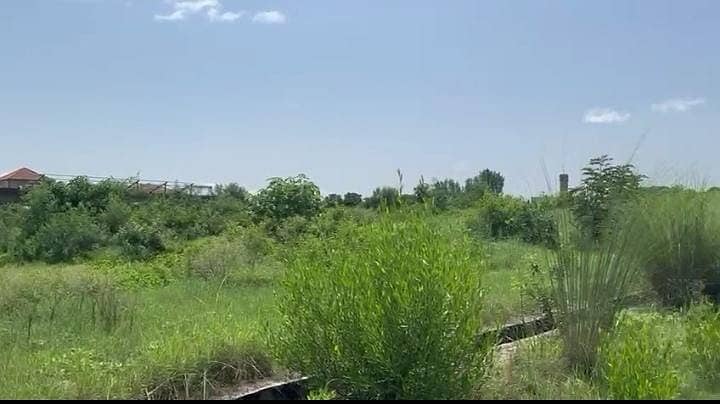 South Facing | Level Possession Plot | Demand 5.3 Crore 3