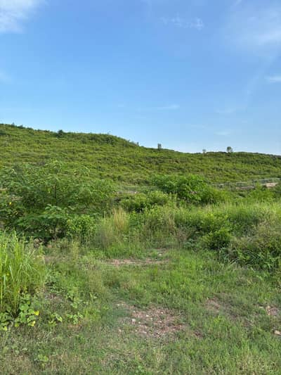 Sector C Plot 2,500 Sq. Yards