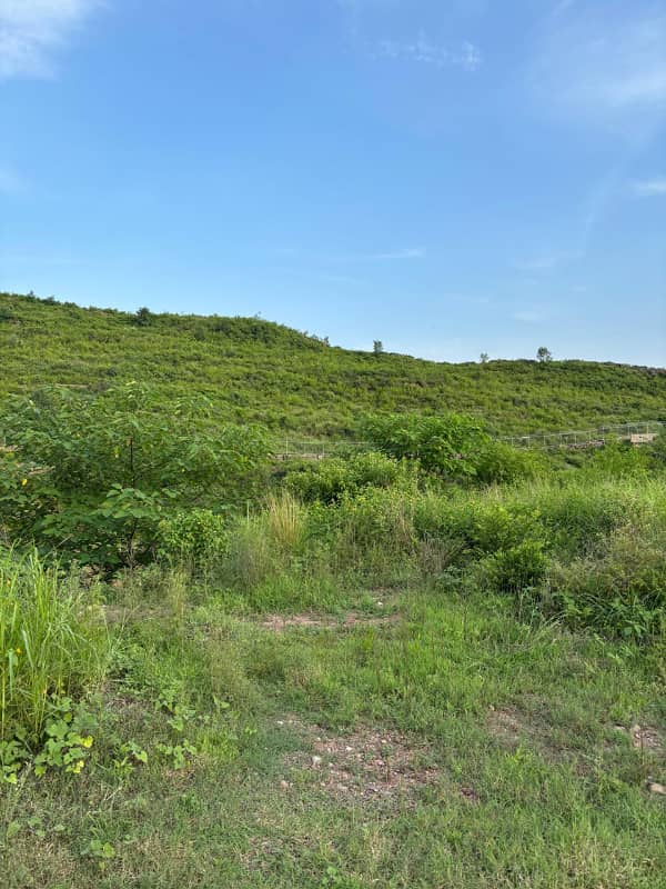 Sector C Plot 2,500 Sq. Yards 0