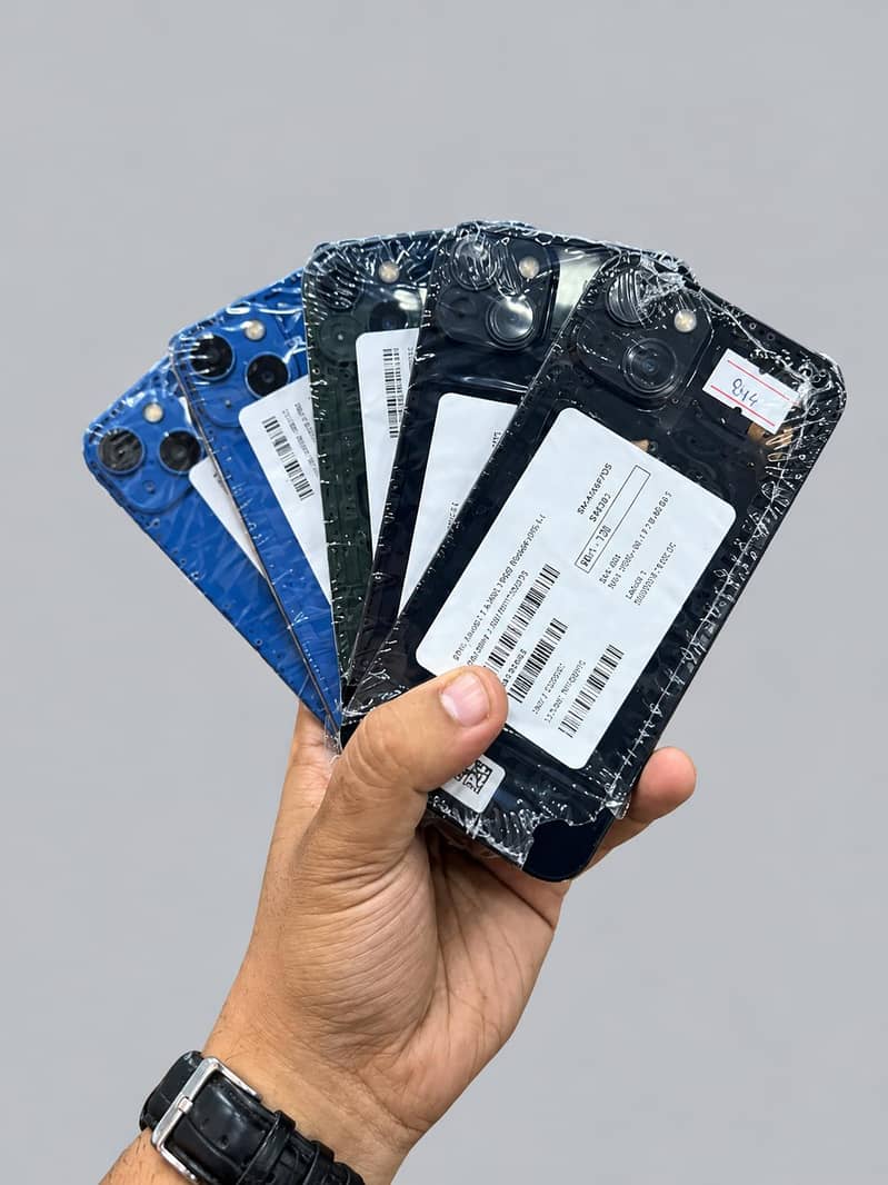 Apple iPhone 13 0