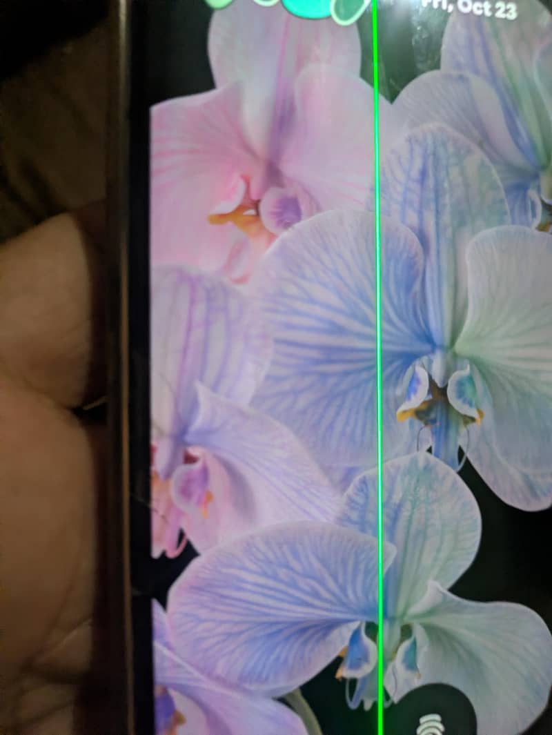 google pixel 6 pro 6