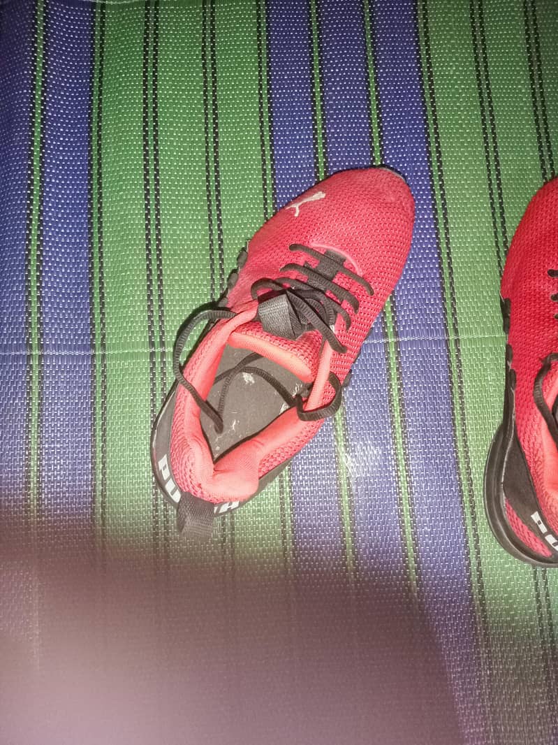 Joggers 0
