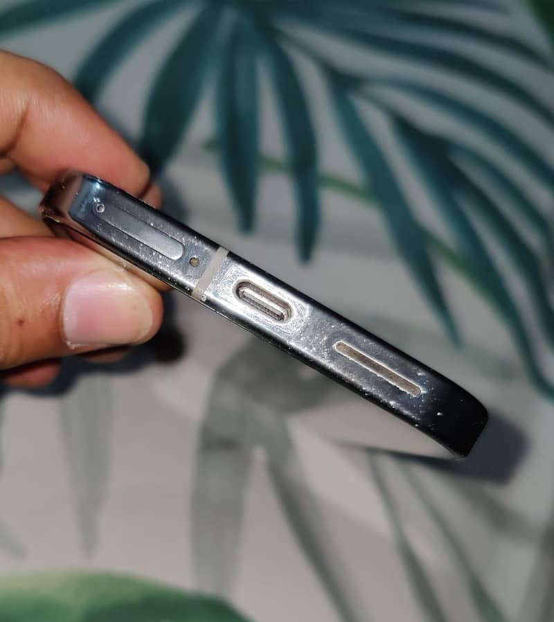 Google Pixel 9 Pro XL 1