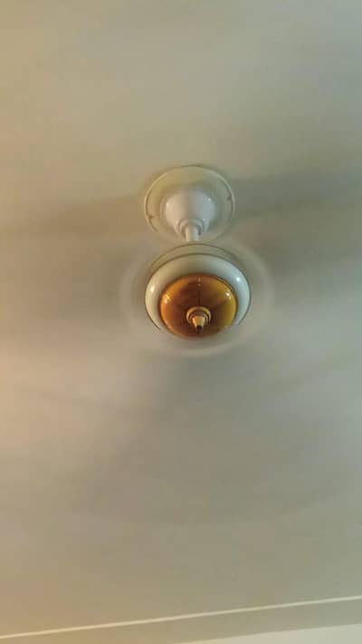 Royal Fan Excellent Condition
