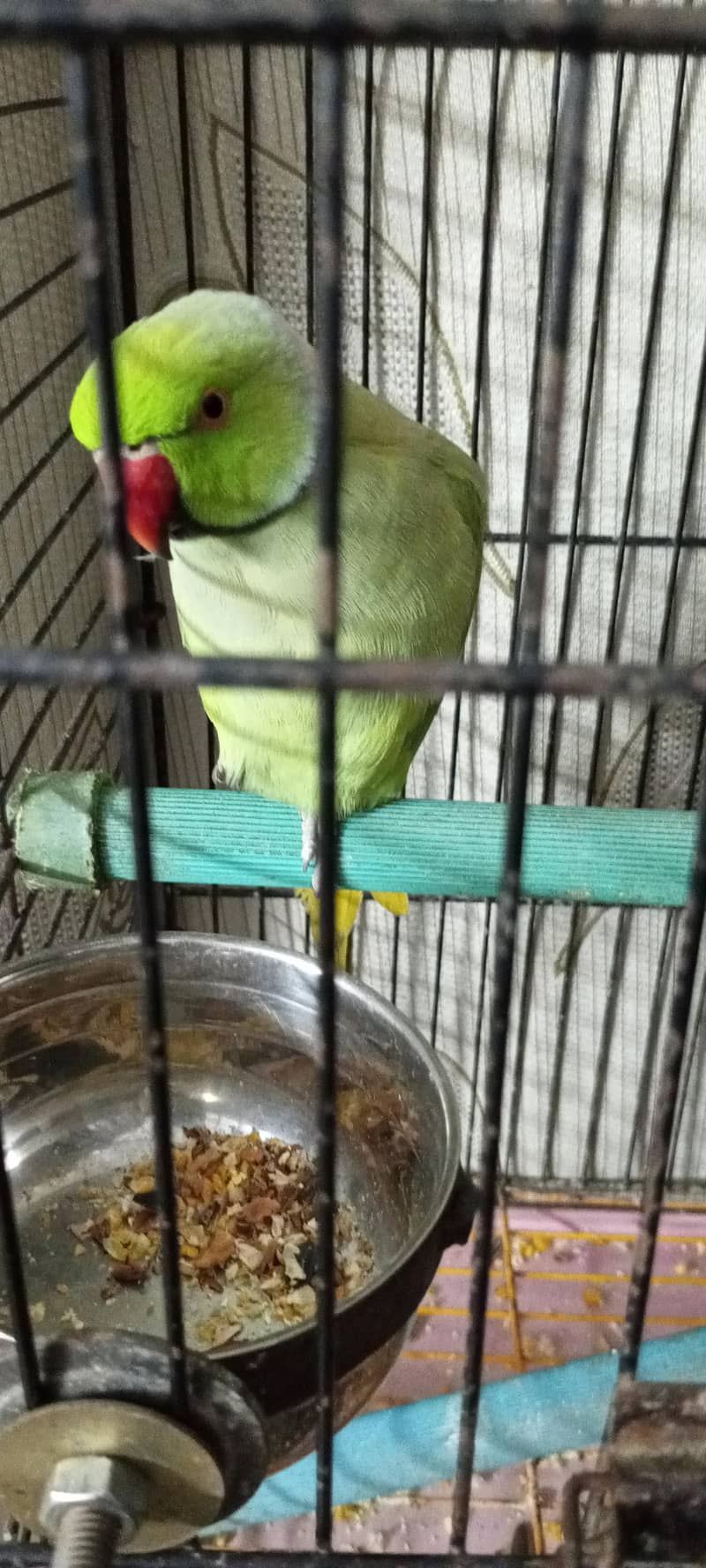 talking mithu zero bite0330/845345/1 2