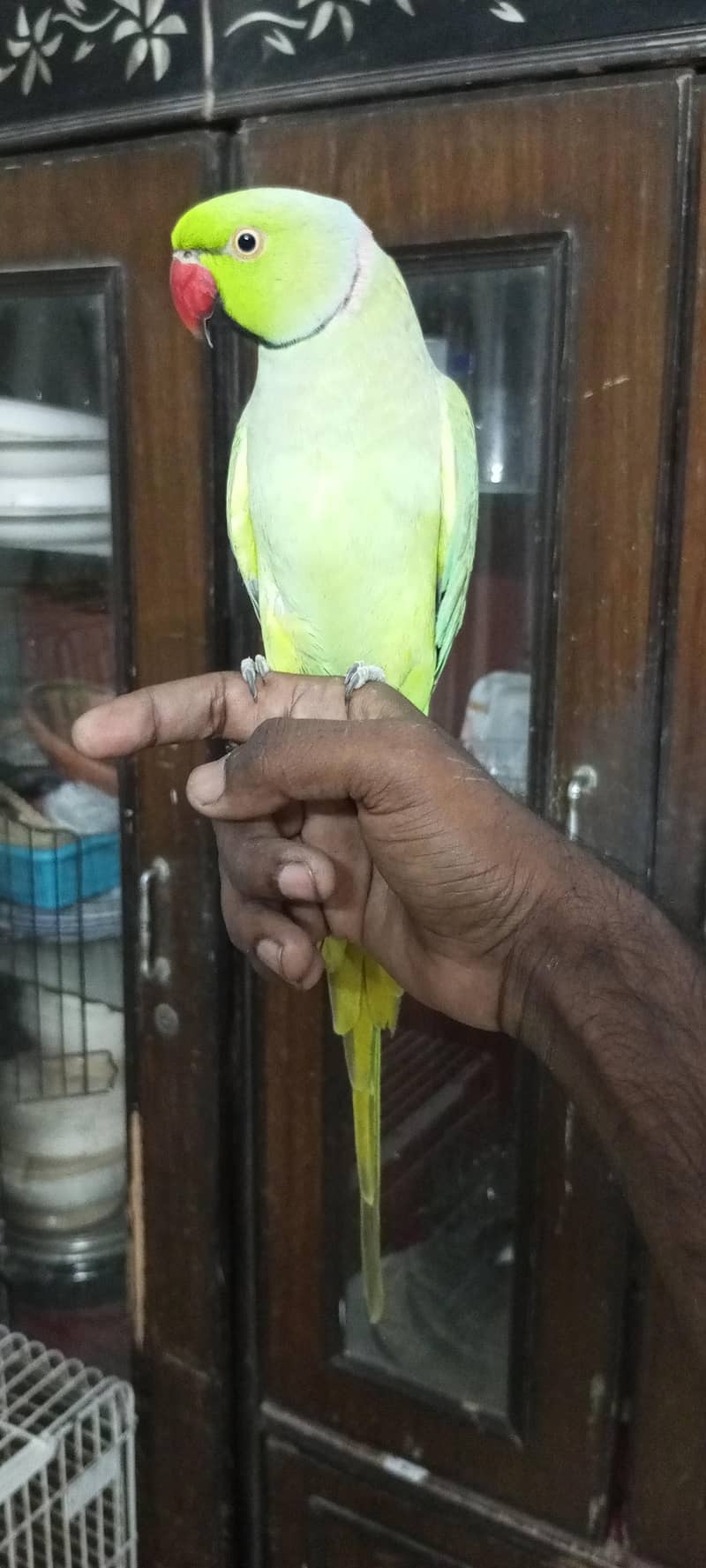 talking mithu zero bite0330/845345/1 3