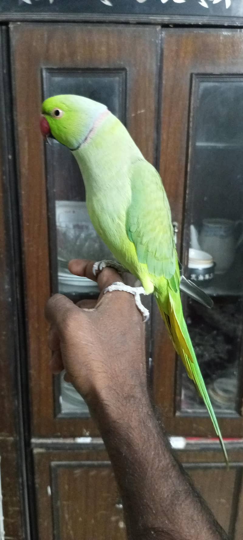 talking mithu zero bite0330/845345/1 4