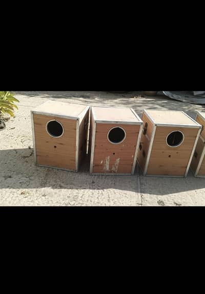 lovebird boxes