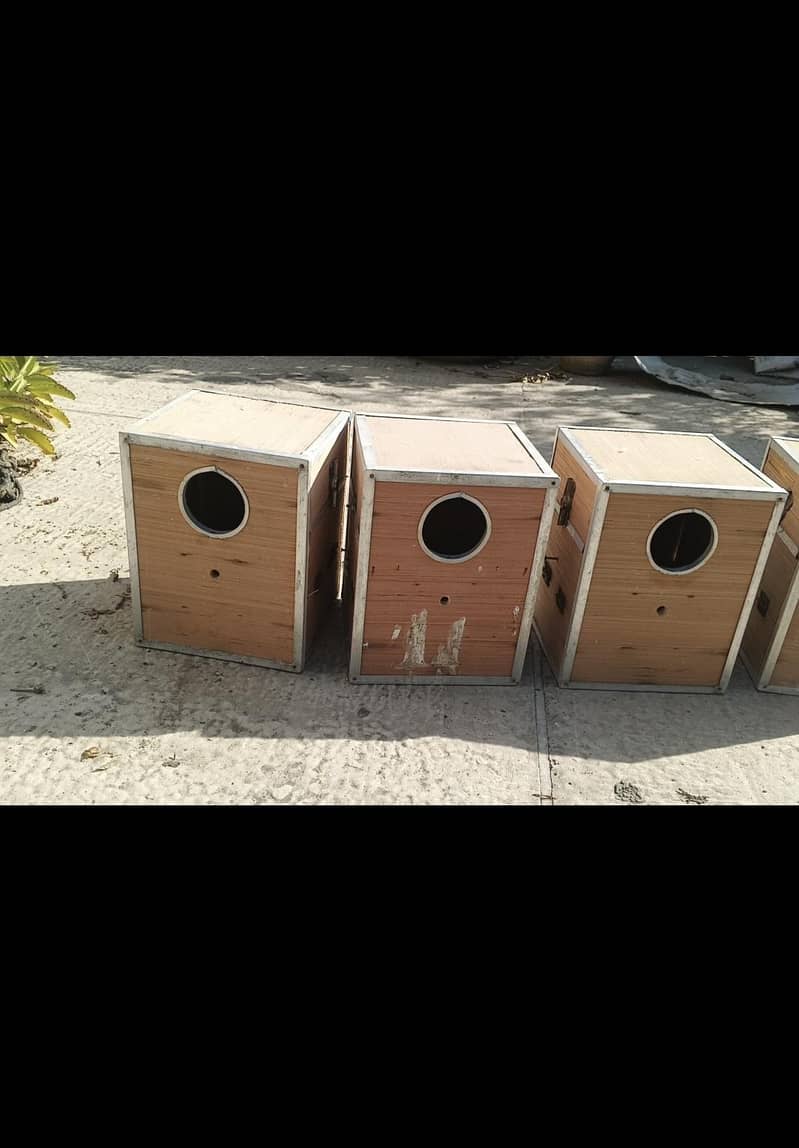 lovebird boxes 0