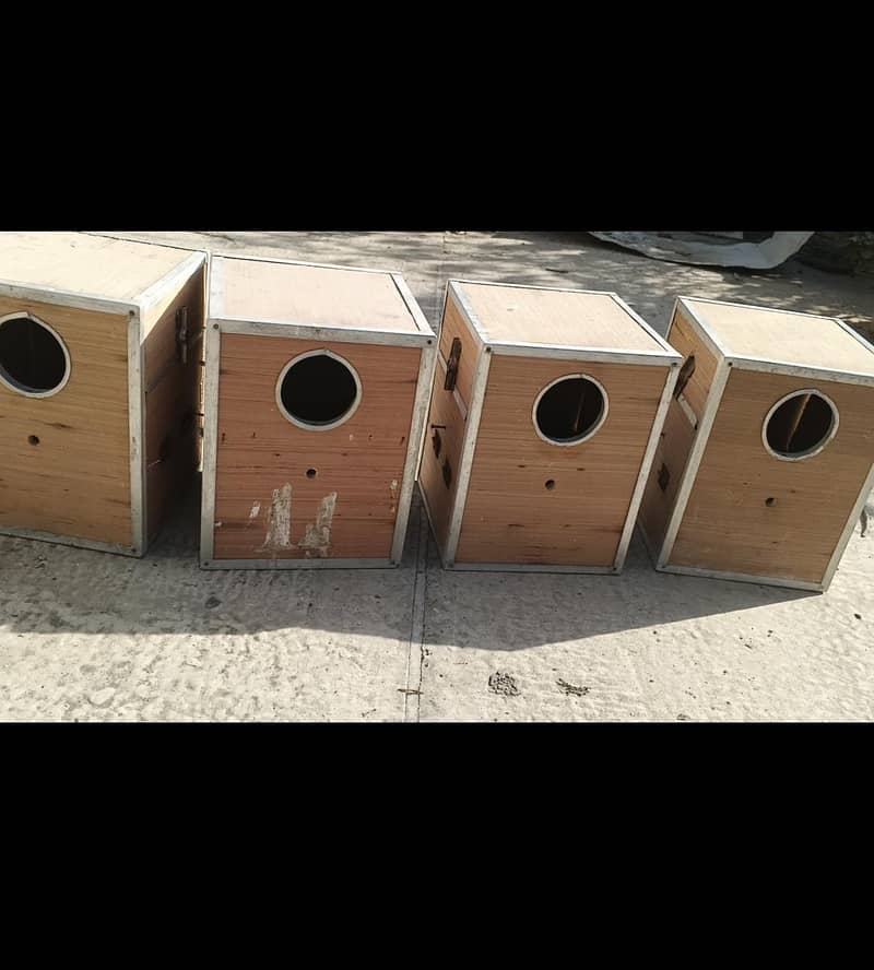 lovebird boxes 2