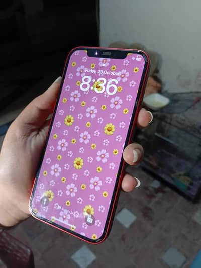 Apple iPhone 12