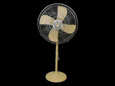 Pedestal Fan