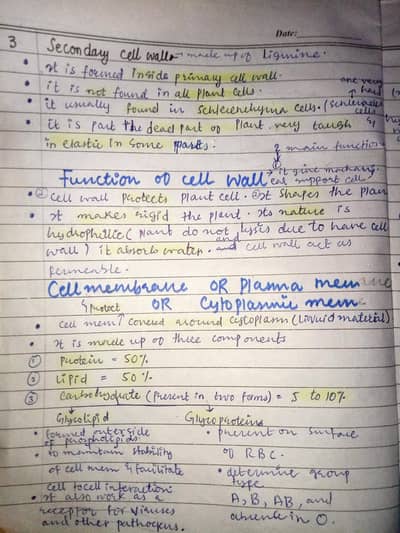 assignment writter