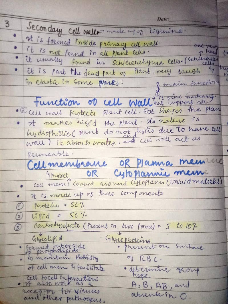 assignment writter 0