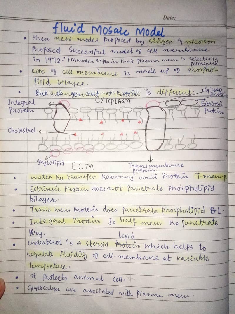 assignment writter 1
