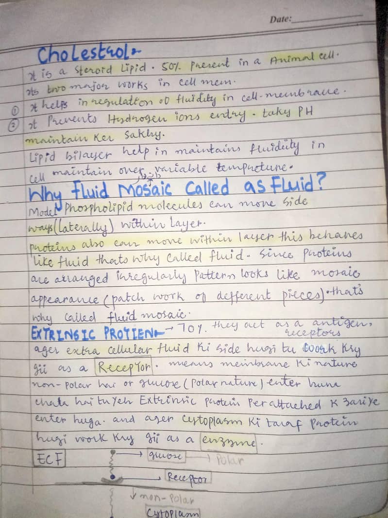 assignment writter 2