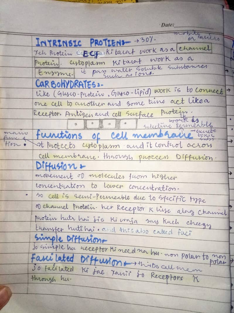 assignment writter 3