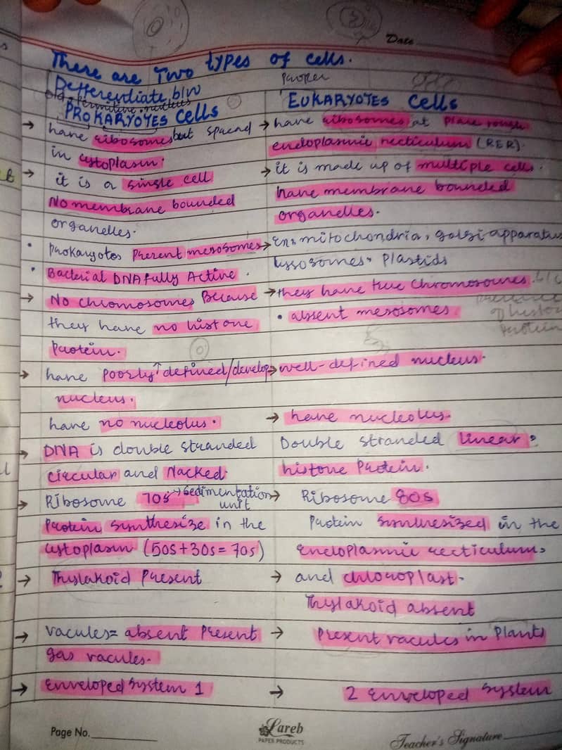 assignment writter 4