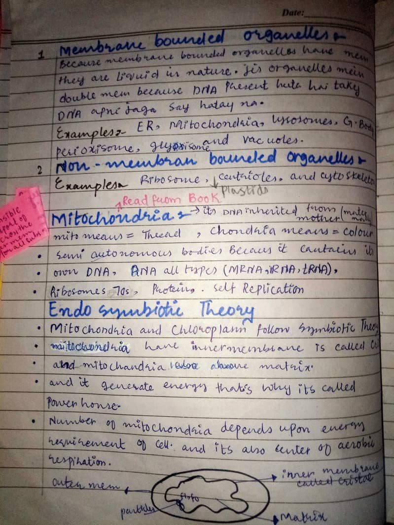 assignment writter 5