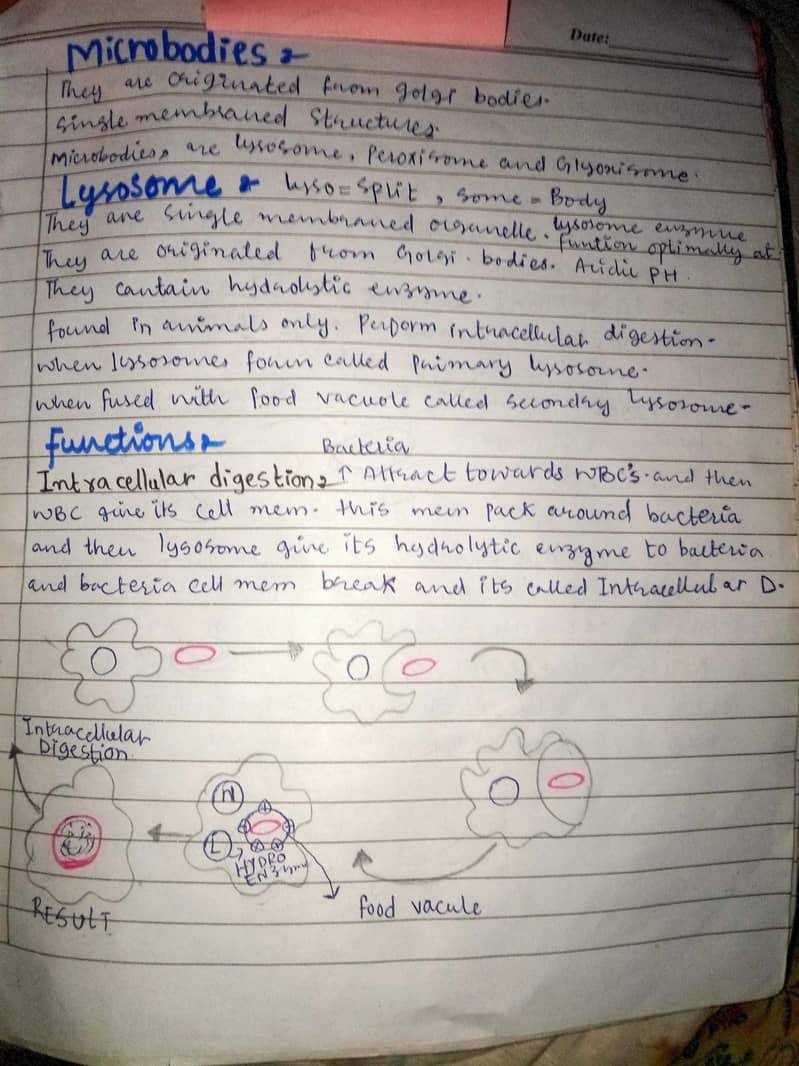 assignment writter 6