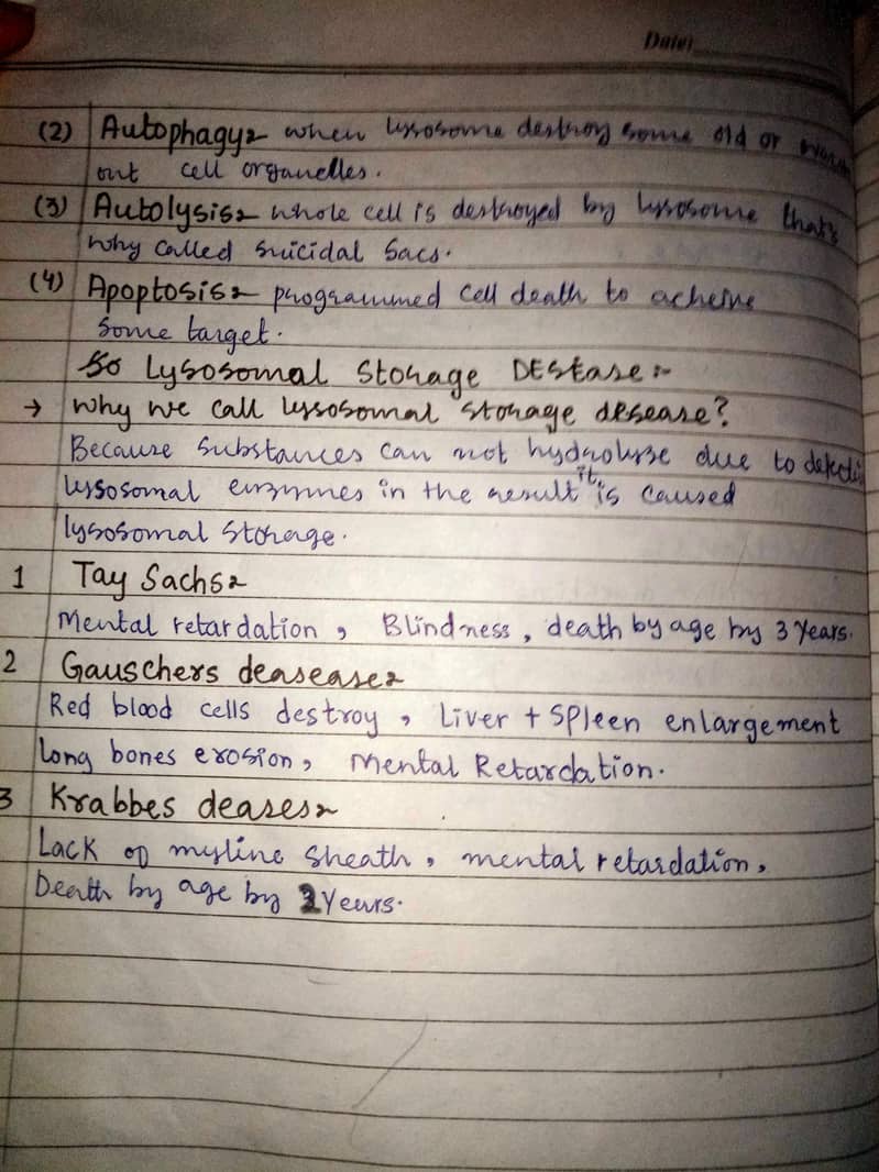 assignment writter 7