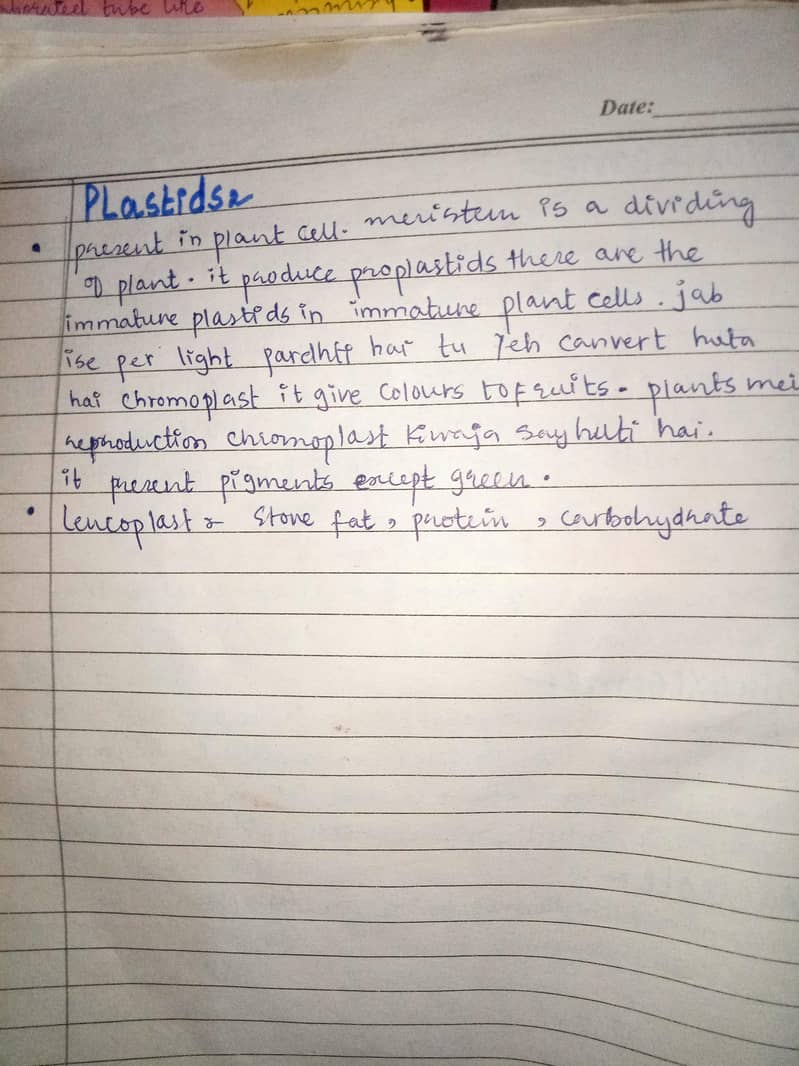 assignment writter 8