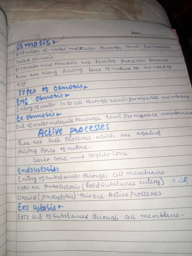 assignment writter 9