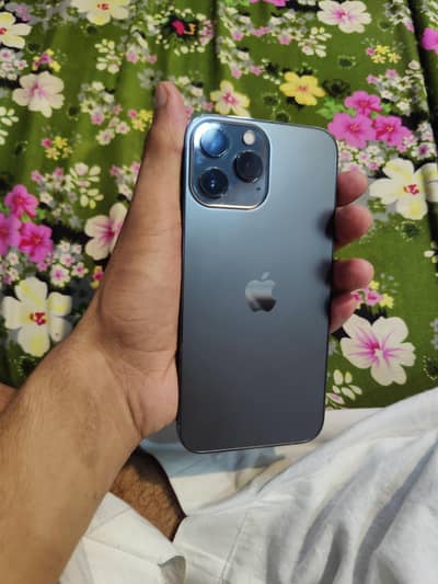 Apple iPhone 13 Pro Max
