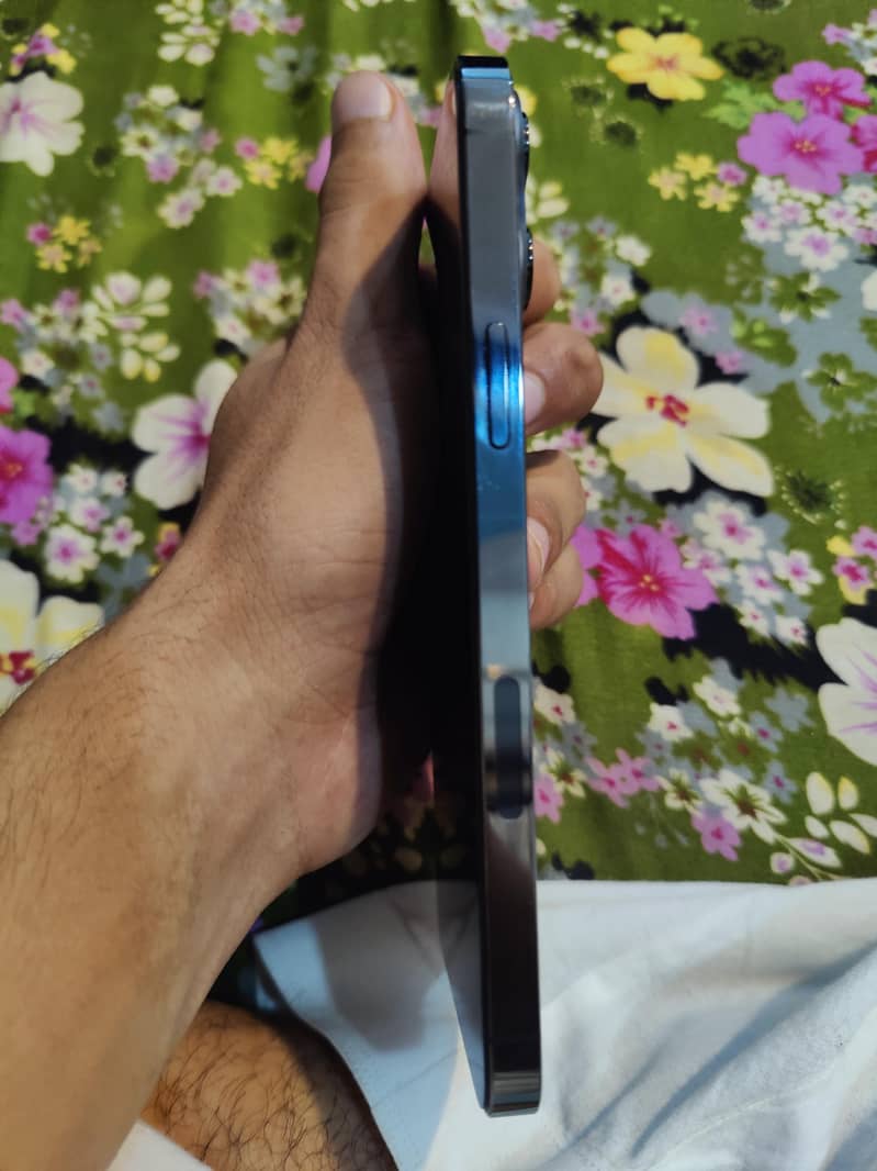 Apple iPhone 13 Pro Max 1