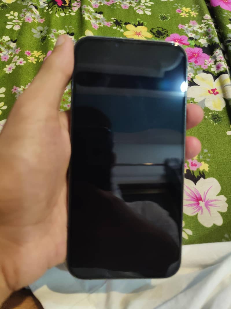 Apple iPhone 13 Pro Max 2