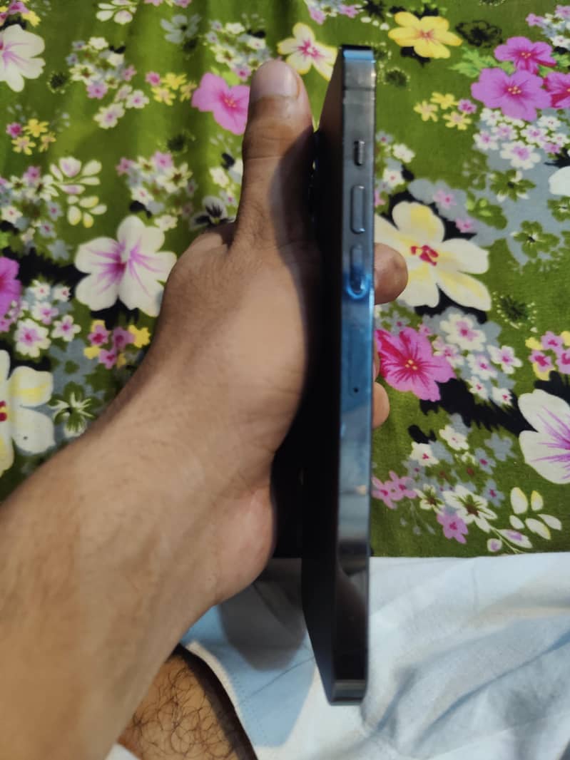 Apple iPhone 13 Pro Max 3