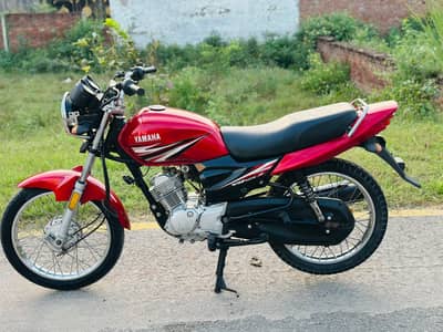 Yamaha YBZ 2018 03195628703