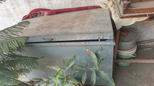 trunk for sale