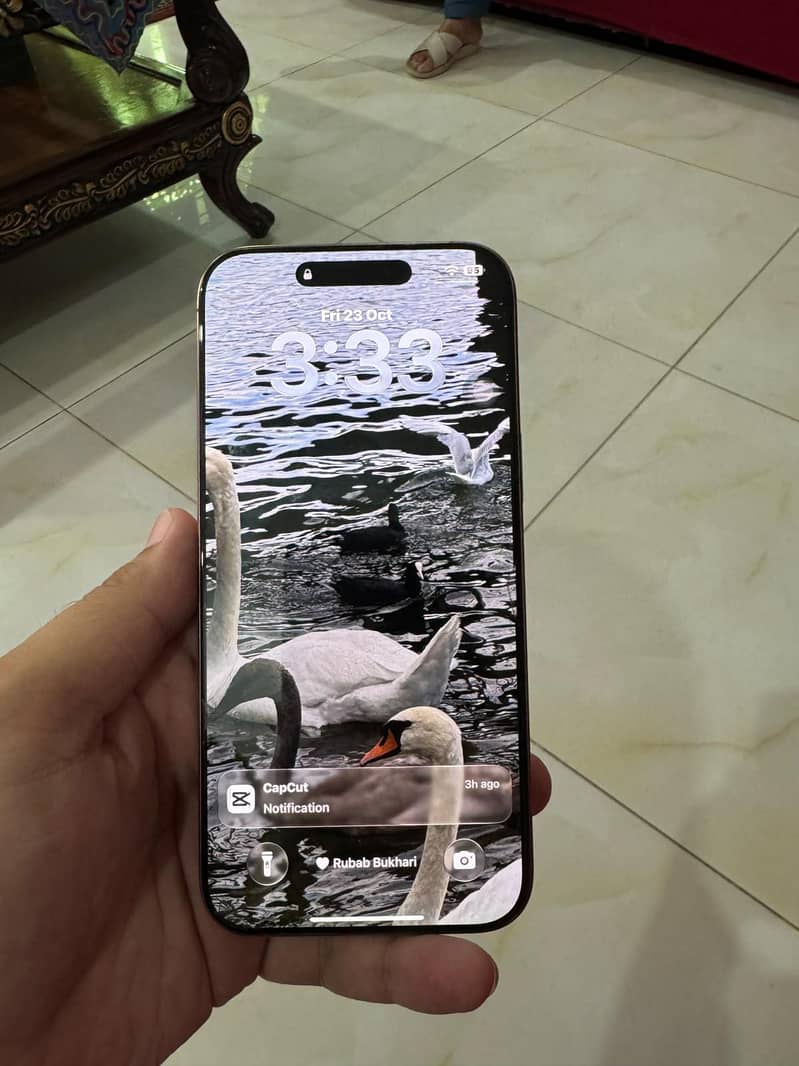 Apple iPhone 16 Pro Max 3