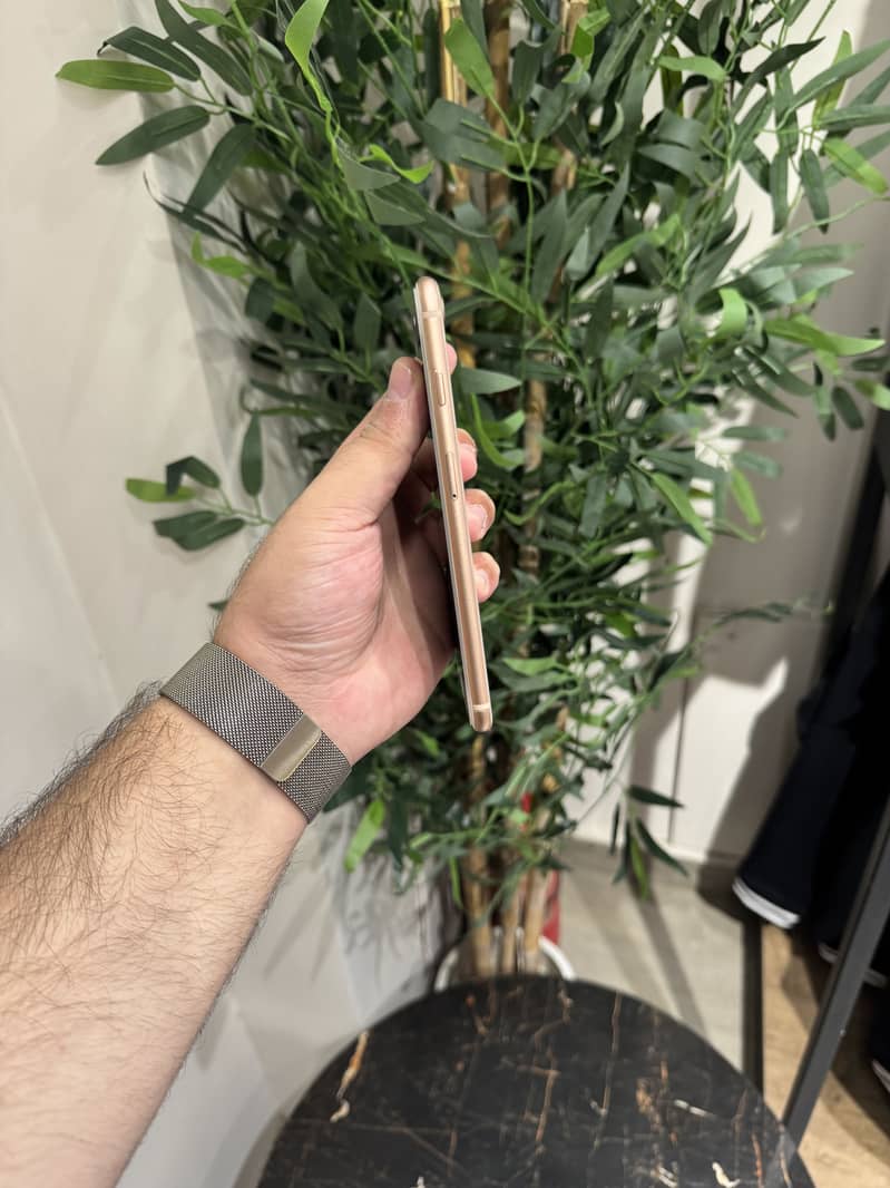Apple iPhone 8 Plus 2